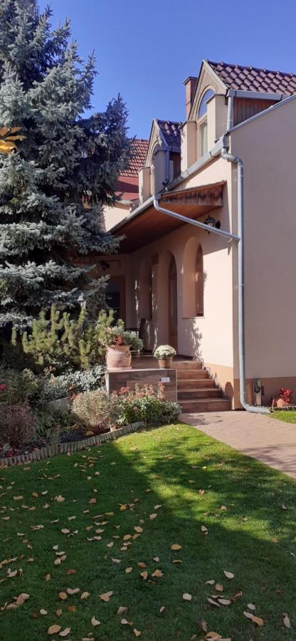 Kenguru Panzio Hotel Hódmezővásárhely Екстериор снимка